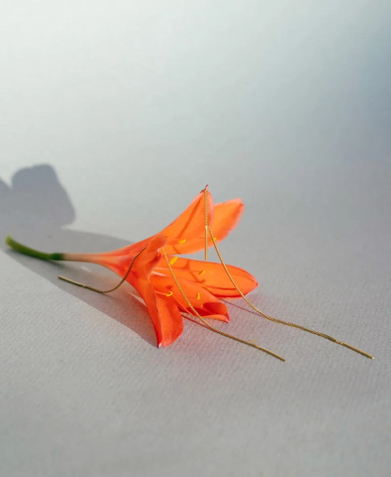 Pendientes cadena - Imagen 4